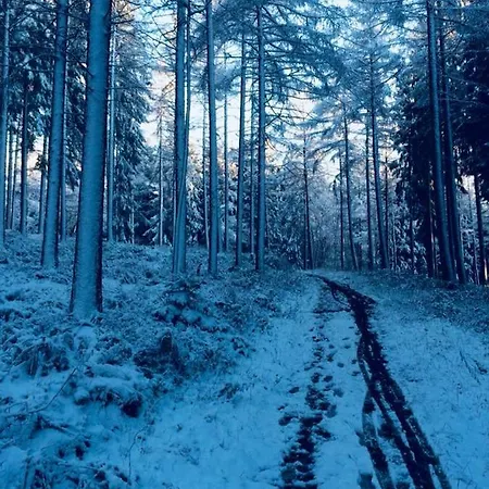Le Vieux Sart 14 Casa de Férias